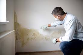 Biohazard Mold Removal in Salmon Brook, CT